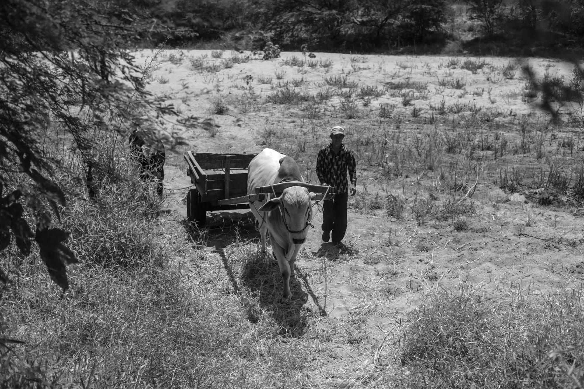 Fazenda Poco Das Pedras São João do Cariri Exteriér fotografie