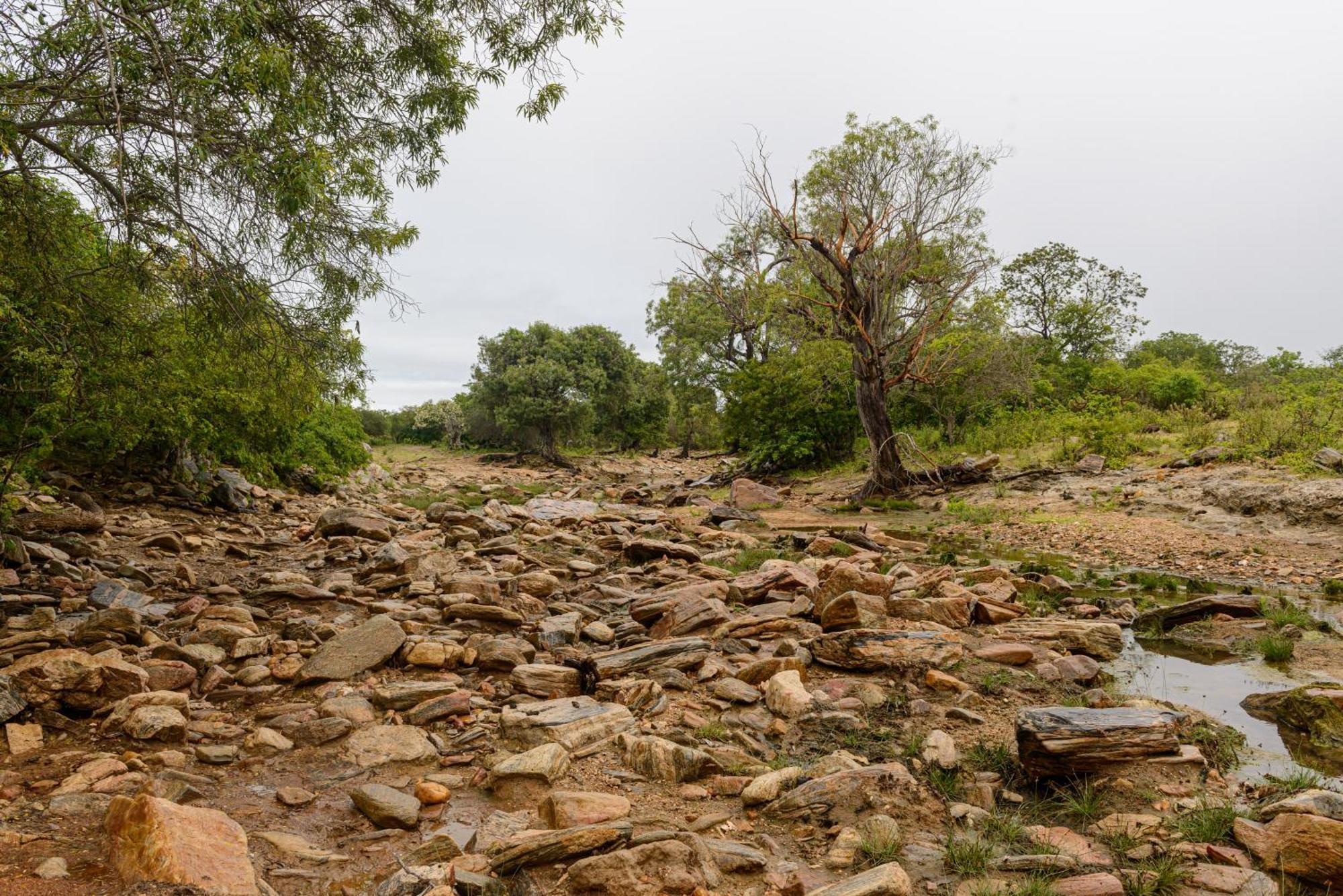 Fazenda Poco Das Pedras São João do Cariri Exteriér fotografie